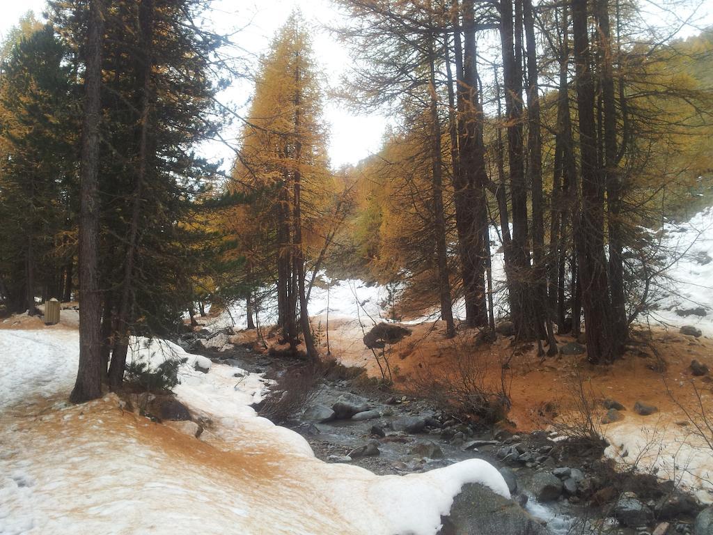 Chalet Rin Da Pemont Лівіньо Екстер'єр фото